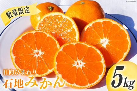 【期間限定発送】 みかん 訳あり 日向ひまわり 石地みかん 2S ～ L サイズ 5kg [ひまわり農園 宮崎県 日向市 452061493] ミカン 小玉 大玉 柑橘 家庭用 数量限定