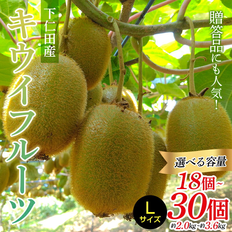 【ふるさと納税】＜先行予約＞【3年連続受賞】「A品数量限定」下仁田町産キウイフルーツ約2.0kg 約3.6kg（1玉Lサイズ115g以上） 選べる容量 キウイ フルーツ キウイ デザート 果物 贈答品としても人気！ F21K-448var
