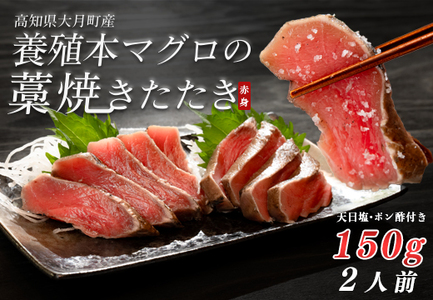 本マグロ 赤身 藁焼き たたき150g 黒潮本まぐろ 本マグロ まぐろ マグロ 鮪 冷凍 田野屋銀象