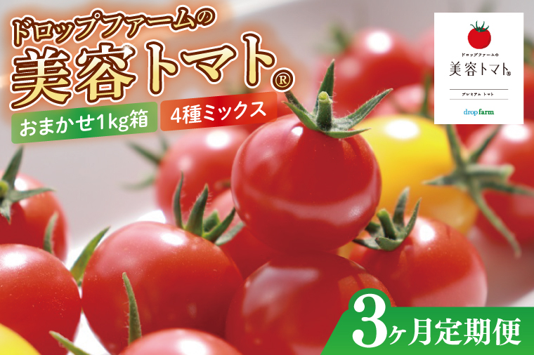 【3ヶ月定期便】【11月より順次発送】ドロップファームの美容トマトおまかせ1kg箱(４種ミックス)【とまと フルーツトマト 野菜ソムリエ 朝採れ アイコ イエローアイコ 小鈴 フルティカ 野菜 フレッ