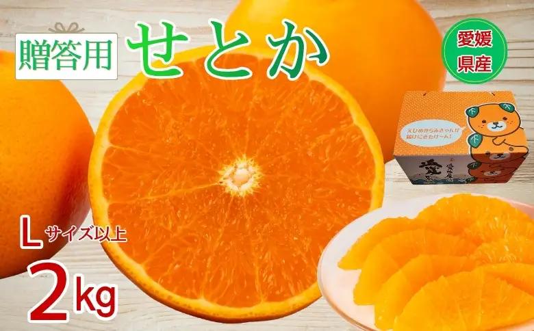 【2027年先行予約】せとか みかん 愛媛 2kg 贈答用 人気 数量限定【2027年1月中旬以降発送】 柑橘 愛媛県産 伊予市｜B549