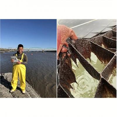 ふるさと納税 大町町 【佐賀海苔】塩・焼海苔おまかせ3本セット(各8切80枚入り)(大町町) |  | 03