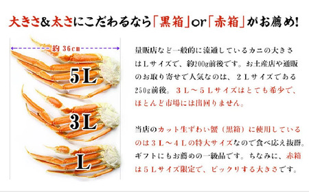 【2月発送】【生食OK】カット生ずわい蟹（高級品/黒箱）内容量3000g/総重量3900g【敦賀市 甲羅組 ずわい蟹 ずわいガニ ズワイガニ 蟹 カニ かに カニしゃぶ かに鍋 かに刺し 刺身 かにハ