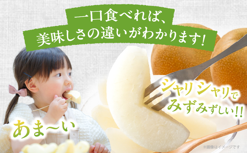 先行予約≪期間限定≫まるみ観光果樹園の『豊水梨』(約3kg) なし 果物 フルーツ 天然 ミネラル栽培_T036-001
