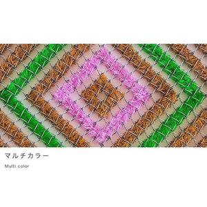 玄関マット 泥 雪 落とし 60×90cm マルチ3色 SNG102107901