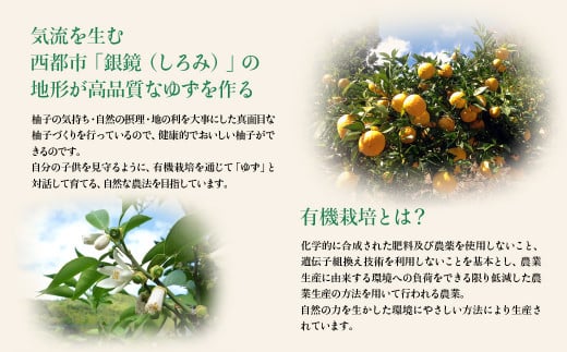【ふるさと納税限定】PREMIUMゆずはっち　ゆずドリンク180ｍｌ×24本入り＜1.5-165＞飲料水 ジュース 柚子 柑橘 ソフトドリンク 限定 宮崎県西都市 入金確認後30日前後で発送