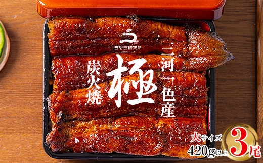 【期間限定】三河一色産うなぎ蒲焼大3尾(計420g以上)・R006-22