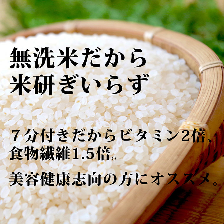 ななひかり米 5kg 【 無洗米 】 米 こしひかり コシヒカリ こめ コメ ご飯 ごはん 茨城県 八千代町 20000円 [AR002ya]