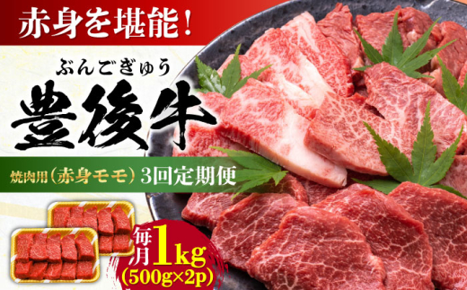 【全3回定期便】おおいた豊後牛 赤身モモ 焼肉用 1kg(500g×2P) 日田市 / 株式会社MEAT PLUS 牛肉 おおいた豊後牛 おおいた 豊後牛 黒毛和牛 国産 赤身 モモ もも 焼肉 焼肉用 和牛 [AREI095]