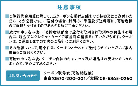 日本旅行　地域限定旅行クーポン90,000円分