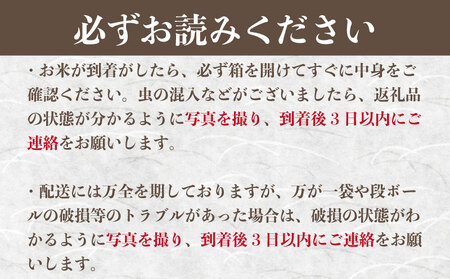 米 新米 10kg 令和7年産 粒すけ