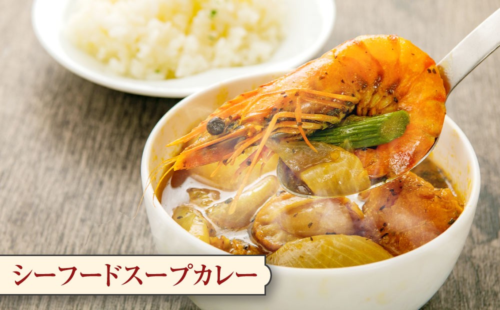 北海道 スープカレー セット 2種類 300g×計8個