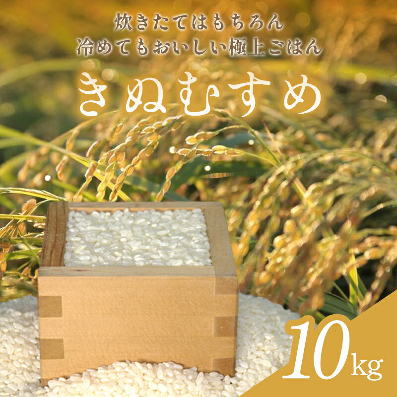 【ふるさと納税】 【先行予約】 きぬむすめ 10kg 米 白米 ごはん お米 10キロ 2025年産 令和7年産