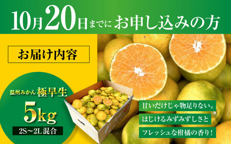 温州みかん 5kg 玉川農園[AGBC005] みかんみかんみかんみかんみかん