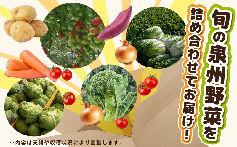季節の野菜セット 2～7種類【国産 新鮮 おまかせ 詰め合わせ】 G3452
