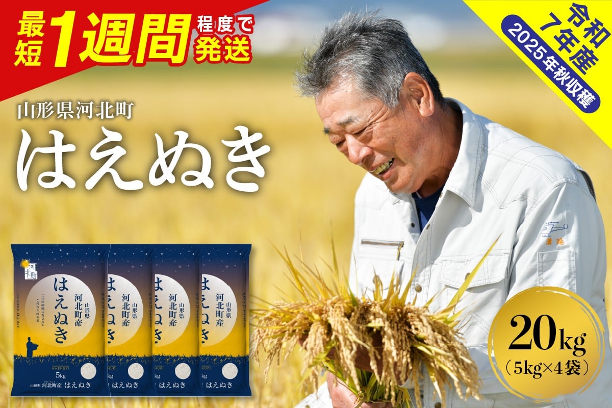
            【令和7年産米】※選べる配送時期 最短1週間程度発送※ はえぬき20kg（5kg×4袋） 山形県産 【米comeかほく協同組合】　ka024-041d-r7
          