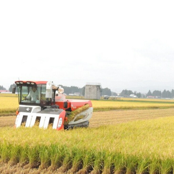 岩手花巻産「健土健米」ひとめぼれ5kg 【051】_イメージ4