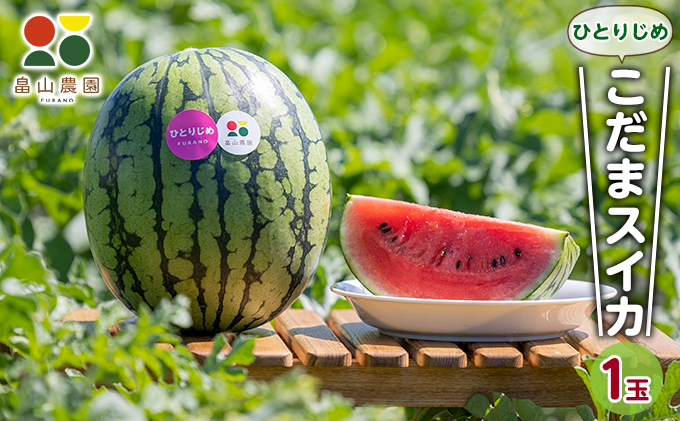 【2026夏発送】ひとりじめ こだま スイカ 2玉 北海道 富良野産 すいか 西瓜 夏 フルーツ ふらの 甘い 糖度 小玉 (畠山農園）