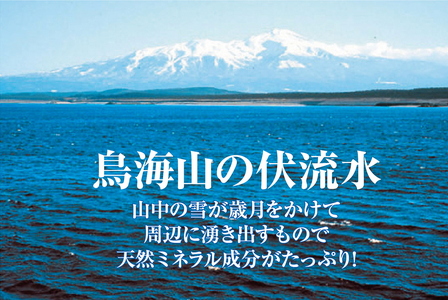 SA1954　天然塩 酒田の塩の「ワイン塩3種(赤・白・ロゼ)」＆「酒かす塩」 4種セット