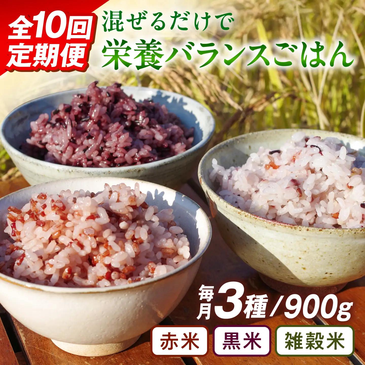 全10回 定期便 （月1回） 赤米 ・ 黒米 ・ 雑穀米 健康 ごはんの お米セット 二丈赤米産直センター [ABB019]