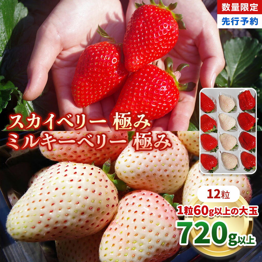 【ふるさと納税】いちご スカイベリー 極み×ミルキーベリー 極み 12粒 【2027年 先行予約】 | いちご イチゴ 苺 フルーツ スカイ ベリー ミルキー ベリー 果物 フルーツ お取り寄せ 贈答 プレゼント ギフト 紅白 おいしい ご褒美 産地直送 栃木県産 澳原いちご農園