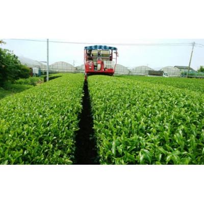 ふるさと納税 八女市 進物用から家庭用まで人気の高い上級八女煎茶4本セット |  | 03