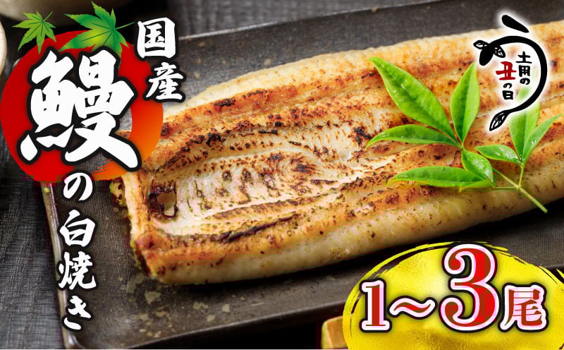 
            ＼最短7営業日以内発送／ 国産鰻 の 白焼き 国産うなぎ 選べる 1尾 / 2尾 /3尾  半身 カット 国産 うなぎ ウナギ 鰻 炭火焼 炭火 うなぎ白焼き うな重 蒲焼 蒲焼き ひつまぶし 白焼 しらやき 人気 おすすめ 丑の日 贈り物 贈答 ギフト プレゼント 真空パック 送料無料 千葉県 旭市 川千家 kty
          