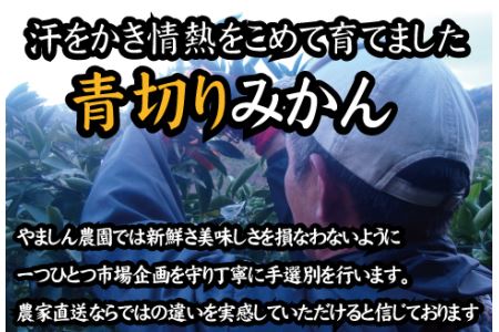 【2025年秋頃発送予約分】【農家直送】こだわりの青切りみかん 約10kg  有機質肥料100%　 サイズ混合　※2025年9月下旬より順次発送予定（お届け日指定不可）【nuk108D】