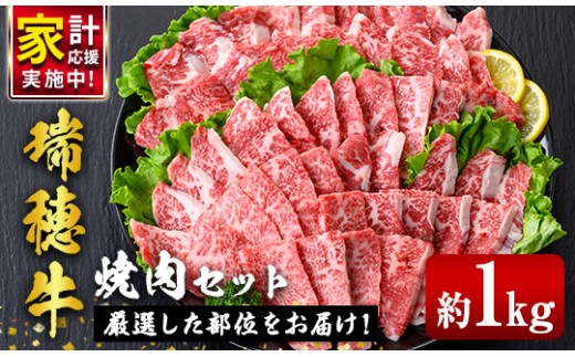 瑞穂牛焼肉セット 1.0Kg 牛肉 やきにく バラ 肩ロース 肩 肩バラ トモサンカク イチボ ブランド牛 冷凍配送 茨城県 お中元 焼肉の日 敬老の日 瑞穂牛 焼肉 盛り合わせ 食べ比べ 国産 肉 BBQ セット 【（株）フロンティアロード】【 ho0903-1】