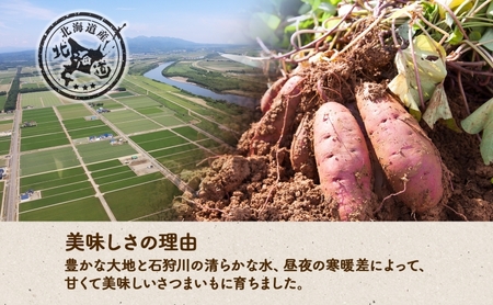 北海道 新しのつ産 さつまいも 紅あずま 計2kg サツマイモ 薩摩芋 芋 甘い  ホクホク 農作物 旬 採れたて 焼き芋 野菜 スイーツ おやつ お取り寄せ ご褒美 JA新しのつ 送料無料