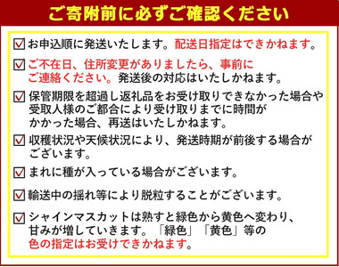 ＜定期便・全3回(連続)＞シャインマスカット (総量3kg・1kg×3回) ぶどう 葡萄 フルーツ 果物 定期便 ＜先行予約受付中！2026年8月上旬から順次発送予定＞ ＜北海道、沖縄、離島配送不可＞