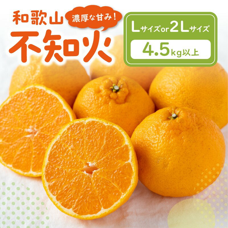 【ふるさと納税】濃厚な甘み！和歌山不知火 4.5kg以上 ≪先行予約2026年2月下旬より順次発送分≫ Lサイズ 2Lサイズ 果物 くだもの フルーツ みかん 蜜柑 しらぬい 不知火 柑橘 デザート 和歌山