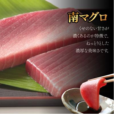 ふるさと納税 室戸市 【3回定期便】天然南マグロ　中トロ　1柵　解凍書付 海鮮 魚介 鮪 惣菜 冷凍 ミナミマグロ |  | 01