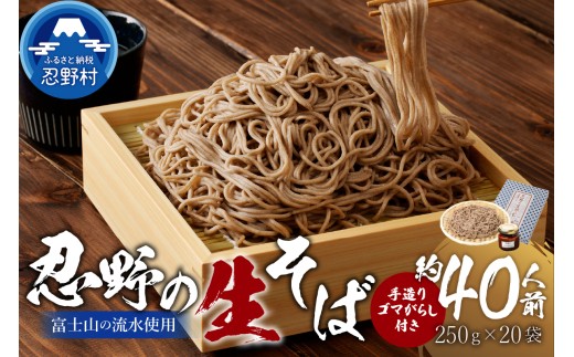 富士山の流水で作る”忍野の生そば”約40人前（250g×20）+ごまがらし1瓶 ※離島へのお届け不可※着日指定送不可