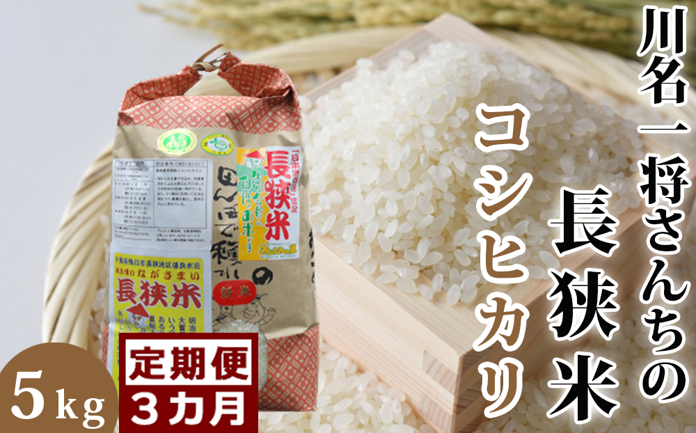 【定期便】川名一将さんちの長狭米 コシヒカリ5kg×3回 [0045-0006]