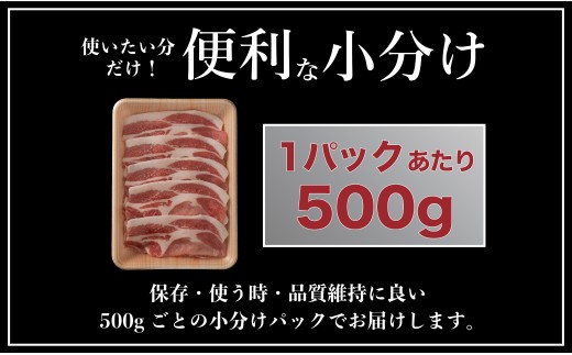[B582］ 【3回定期便】 長崎県産 豚肉 ローススライス 計1kg (500g×2) 総計3kg 定期便 小分け 冷凍 豚肉 しゃぶしゃぶ すき焼き ぶたにく 国産豚 3回 定期便
