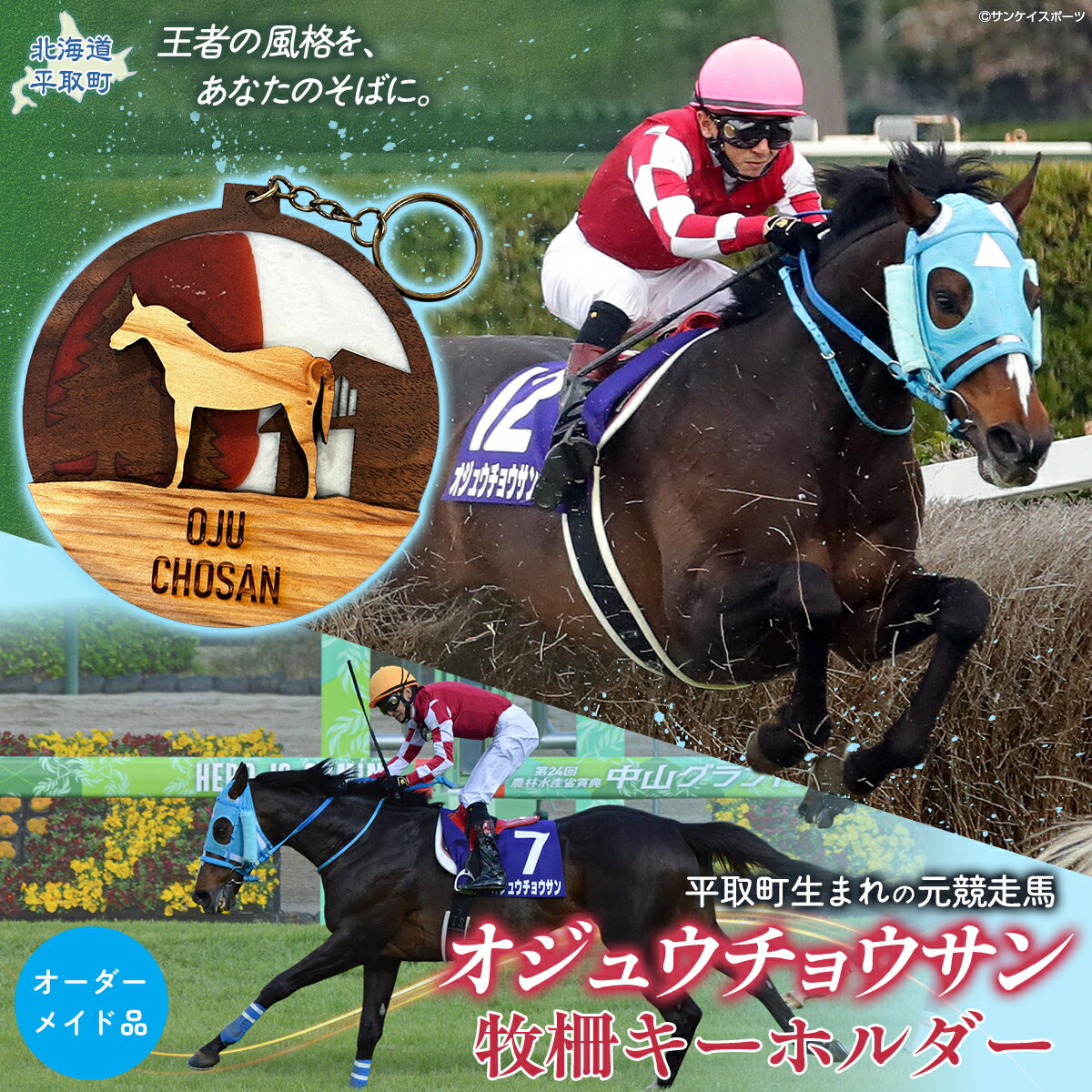 【ふるさと納税】【オーダーメイド品】オジュウチョウサン牧柵キーホルダー【 ふるさと納税 人気 おすすめ ランキング キーホルダー 馬 競馬 競走馬 引退馬 オジュウチョウサン オーダーメイド 北海道 平取町 送料無料 】 BRTV002