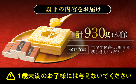 【先行受付 令和6年7月より発送】極巣みつ 930g (310g×3個)　広川町 / 株式会社九州蜂の子本舗[AFAI009]