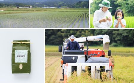 米【令和7年産】【3ヶ月定期便】新潟県産「コシヒカリ」2kg×3回 計6kg 食味鑑定士お墨付き 令和7年産 特別栽培米 農家直送 甘みあふれる農家自慢の逸品 NUKUMORI 百姓や伝六【 ｺｼﾋｶ