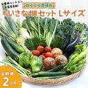 【ふるさと納税】定期便　2カ月　信州北八ヶ岳からお届け～ちいさな畑セット～（Lサイズ　3～4人前）有機野菜〔NK-02-2〕