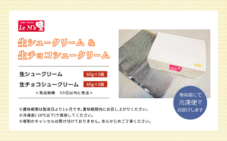 生シュークリームと生チョコシュークリーム10個入り アソート 洋菓子 シュー チョコ お菓子 贈り物 食べ比べ プレゼント ギフト 菓子 冷凍 おすすめ お中元 お歳暮 ギフト 送料無料 二本松市 ふ