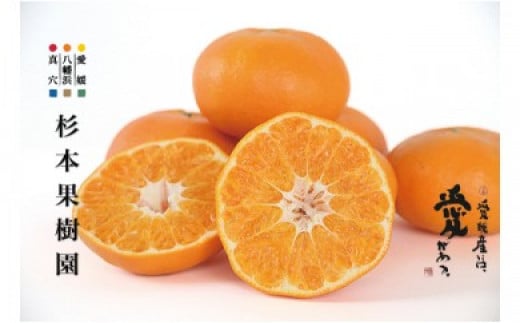 
            ＜2026年2月以降順次発送＞〈特選〉越冬有袋 木成完熟 甘平(かんぺい)3kg＜D34-12＞_ みかん ミカン 甘平 柑橘 フルーツ くだもの 果物 ふるーつ 青果 果実 甘い ジューシー 産直 産地直送 旬 柑橘類 人気 愛媛 果汁 【1510690】
          