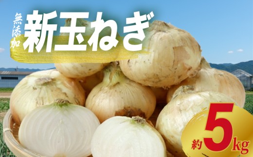 先行予約 玉ねぎ 約5kg 新玉ねぎ サイズ不揃い 期間限定 オニオン 玉葱 たまねぎ 国産 銚子産 産地直送 野菜 春野菜 新鮮 甘い ジューシー 生 大容量 サラダ 炒め物 天ぷら スープ 味噌汁 マリネ ポトフ シチュー BBQ キャンプ 朝食 おかず お弁当 お取り寄せ 旬 常温 送料無料 ふるさと納税 ふるさと納税野菜 千葉県 銚子市 サンズファーム 【4月上旬～5月中旬頃発送予定】