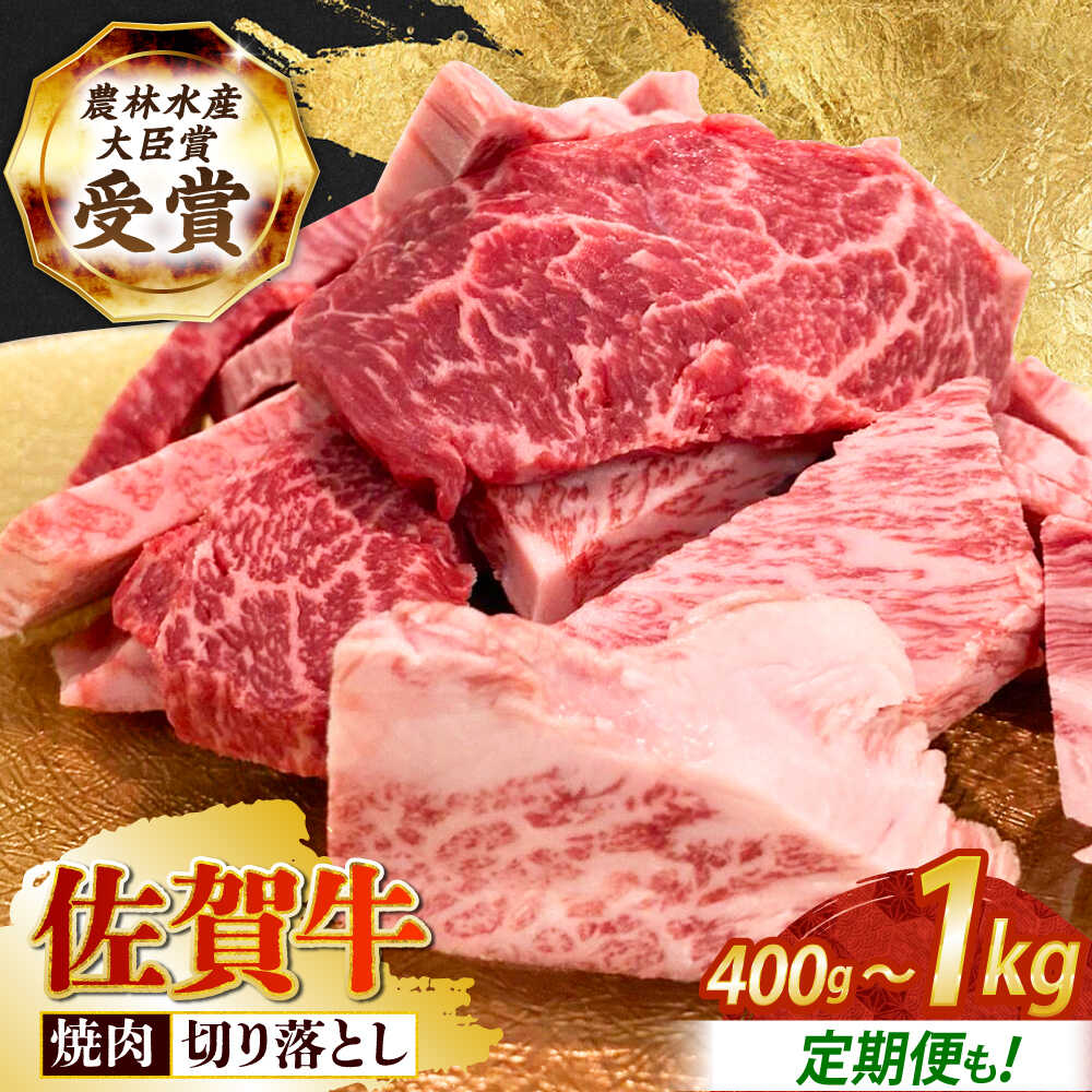 【ふるさと納税】【選べる容量・回数】【2度の農林水産大臣賞】佐賀牛 焼肉用 (カルビ ・ 赤身 ) 1kg / 400g【田中畜産牛肉店】[HBH144] / 牛肉 セット 詰め合わせ 佐賀牛 牛肉 切り落とし焼肉 BBQ 冷凍 国産 佐賀県