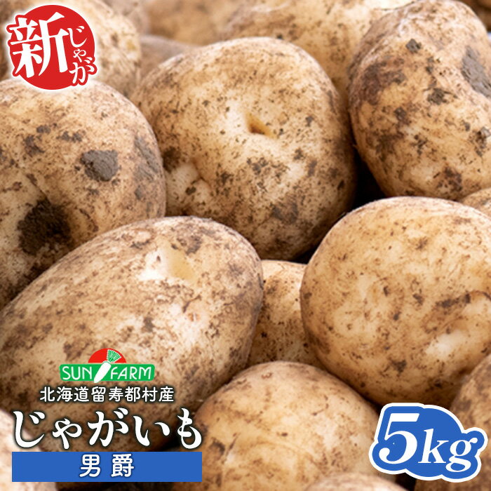 【ふるさと納税】新じゃがいも 男爵 5kg いも おいも 芋 イモ ジャガイモ ポテト だんしゃく オンライン 申請 ふるさと納税 北海道 留寿都 野菜 根菜 産地直送 新鮮 採れたて ポテトサラダ コロッケ マッシュポテト 5キロ 留寿都村【2401401】
