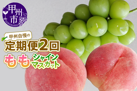 【定期便】甲州自慢の桃＋シャインマスカット定期便【2025年発送】（NK）C-421【桃 もも モモ シャインマスカット 葡萄 ぶどう ブドウ 令和7年発送 期間限定　定期便 山梨県産 甲州市 フルーツ 果物】