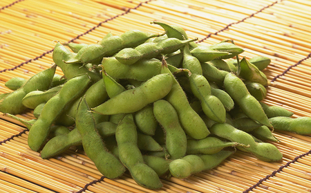 【7月中旬～8月上旬お届け】枝豆 黒埼茶豆 1.5㎏ 枝豆