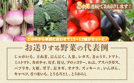 ＜3ヵ月定期便＞ 旬の野菜詰め合わせ 11～12種 | 野菜セット 詰め合わせ 定期便