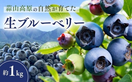 
                  【先行予約】ブルーベリー 生 約1kg 2026年7月中旬～8月下旬 発送 | 蒜山高原 観光 ブルーベリー園 産地直送 果物 フルーツ くだもの 新鮮 スムージー ジュース ヨーグルト ジャム 国産 新鮮 ジュース ブルーベリー 甘い 岡山県 真庭市 送料無料 数量限定
                