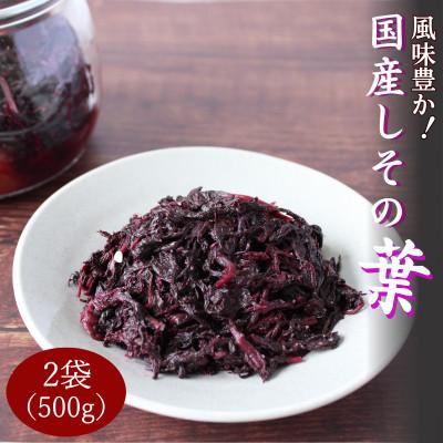 ふるさと納税 田辺市 国産しその葉　2袋(500g×2)【ikm046】